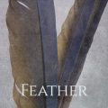 Wave Charge Studio - Feather