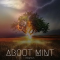 magnus - About Mint