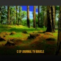 Sergei Shell - Piano Single B