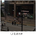 法迪、代总 - Friendships