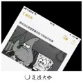法迪、代总 - Where Is Armo