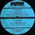 Self Destruction (Lenny Is In USA & Carl's MMR In UK Remix)