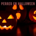 Dj Perreo Mix - Perreo