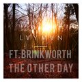 Layman、Brinkworth - The Other Day (feat. Brinkworth)(Explicit)