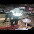 spanky - 556s