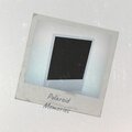 NicD - Minor Major