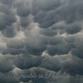 Michael Hayes - Bad Whiskey - Underscore
