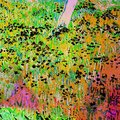 Max Gordon - Other Seasons