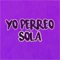 Para Bailar - Yo Perreo Sola Remix