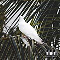 Big Brew - I will survive