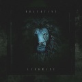 Objective - Lionwise