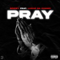 Drizzy、Lucho Da Champ - Pray (feat. Lucho Da Champ)(Explicit)
