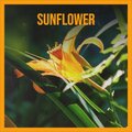 J Goldfinger - A Delicate Balance
