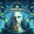 Vertikka - Connected Valley