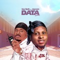 Data (feat. Jaywon)(Remix)