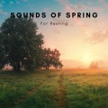 Cricket Sounds、Nature Sounds Collabo、Zen Master - Spring Sense
