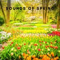 Cricket Sounds、Nature Sounds Collabo、Zen Master - Spring Weather
