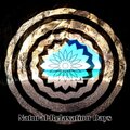 Echoes Of Nature、Mindfulness Meditation Music Spa Maestro、Meditación - Chiming Rain Drops