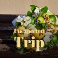 Juan Maria Solare - Unexpected Trip