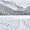 Christmas Spirit、Classical Christmas Music and Holiday Songs、Relaxation Meditation Songs Divine - Holiday Cheer