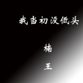 楠王 - 我当初没低头