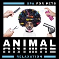 Pet Music Academy - Best Puppy