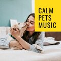 Sleepy Dogs、Cat Music、Music For Cats - Cuddle Buddy