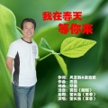 我在春天等你来