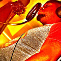 JerseyEMG - New Case (Explicit)