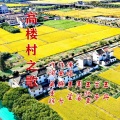 伊人家乡 - 高 楼 村 之 歌 (王莹独唱)