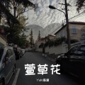 AKA.SANG - 萱草花