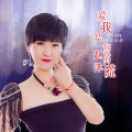赵洋 - 爱我是你说的谎