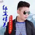 王富强 - 红尘情关