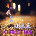 小乐天 - 请跟我联络-