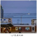 法迪、代总 - Here you go