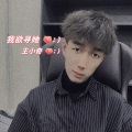 王小奇 - 我欲寻她