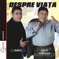 stefan de la barbulesti - Am Cel Mai Frumos Baietel