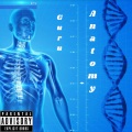 Ash - Anatomy (Explicit)