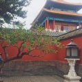 若愚 - 相思
