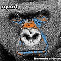 Squash - Harambe's House