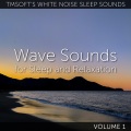 Tmsoft's White Noise Sleep Sounds - Calm Beach Waves