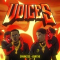 Voices (feat. Spark223)(Explicit)