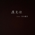 洪梓维 - 遇见你