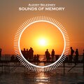 Alexey Seleznev - Sounds Of Memory (Original Mix)