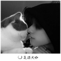 在忠、枫总、尹飞 - 小猪搭佩琪