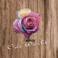 Razz - Our World