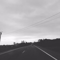 WiBeE - THE LAST