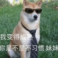 罗罗西 - Heaven