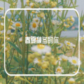 丫丫吖~ - 春夏秋冬的你