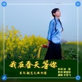 王雪飞 - 我在春天等你